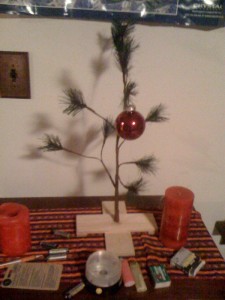 Paul's Charlie Brown Christmas Tree